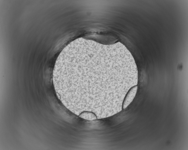 X0000115610428200912221211