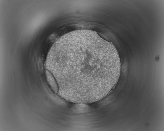 X0000115610429200912221211