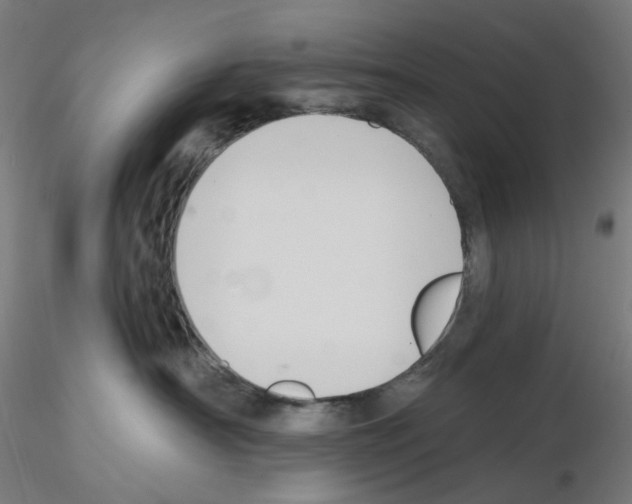 X0000115610430200912221211