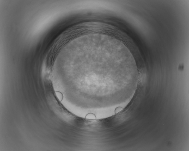 X0000115610431200912221211