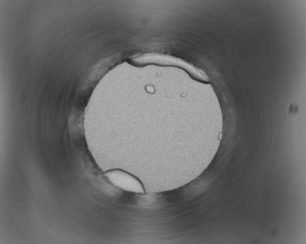 X0000115610432200912221211
