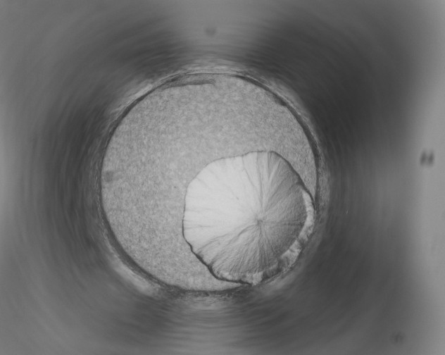 X0000115610433200912221210
