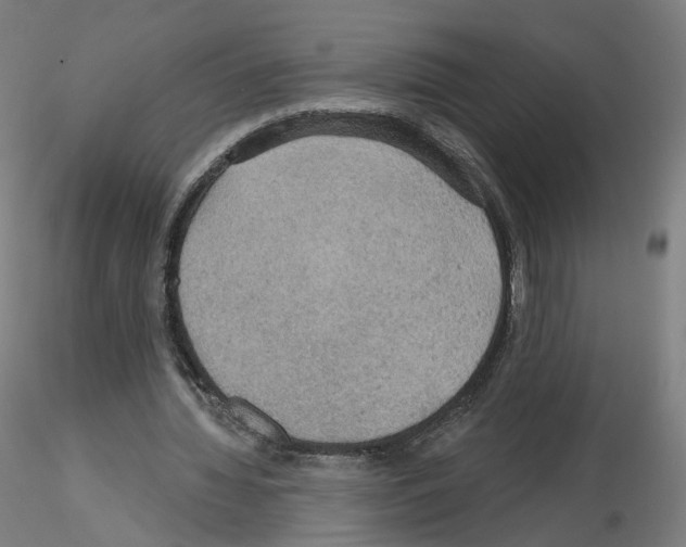 X0000115610436200912221210