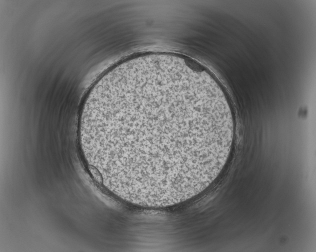 X0000115610437200912221210