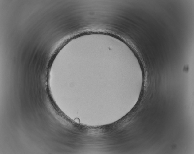 X0000115610438200912221210