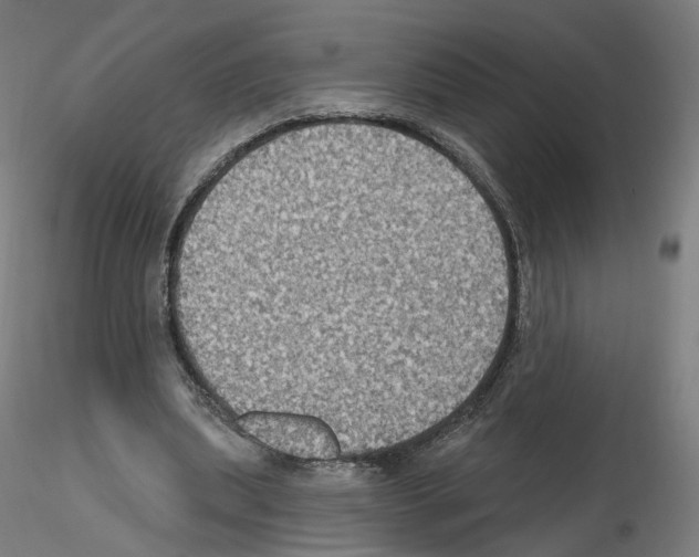 X0000115610439200912221210