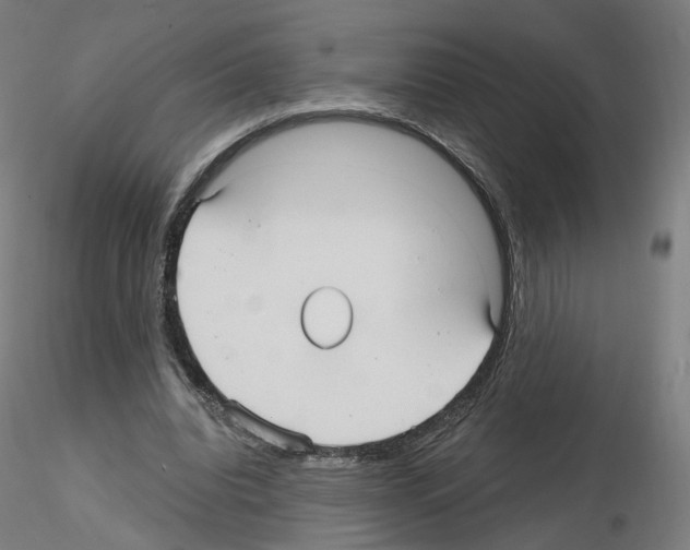 X0000115610440200912221210