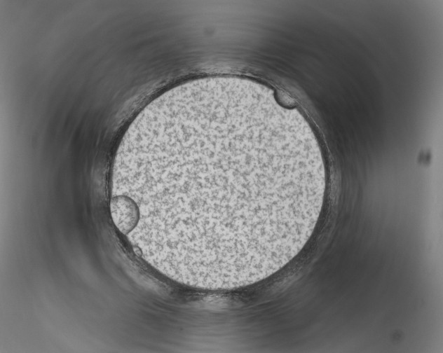X0000115610441200912221210