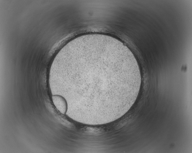 X0000115610442200912221210