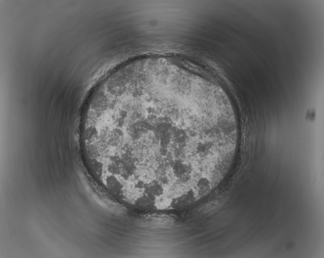 X0000115610443200912221210