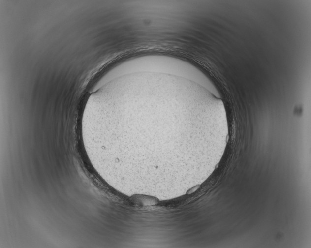 X0000115610444200912221210