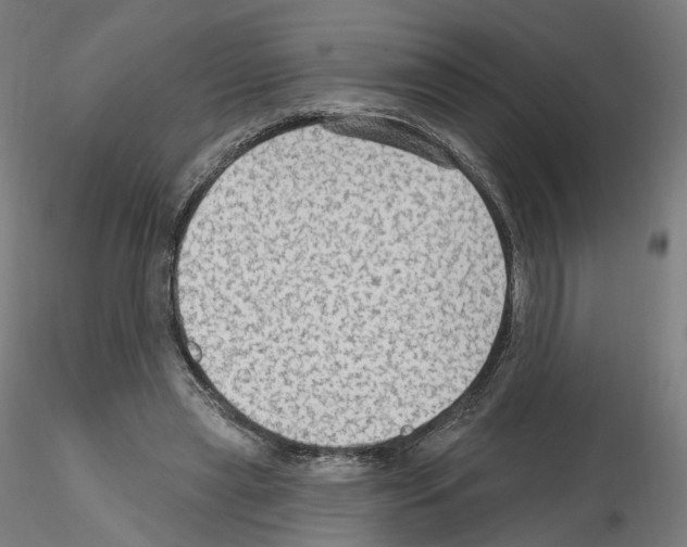 X0000115610445200912221210