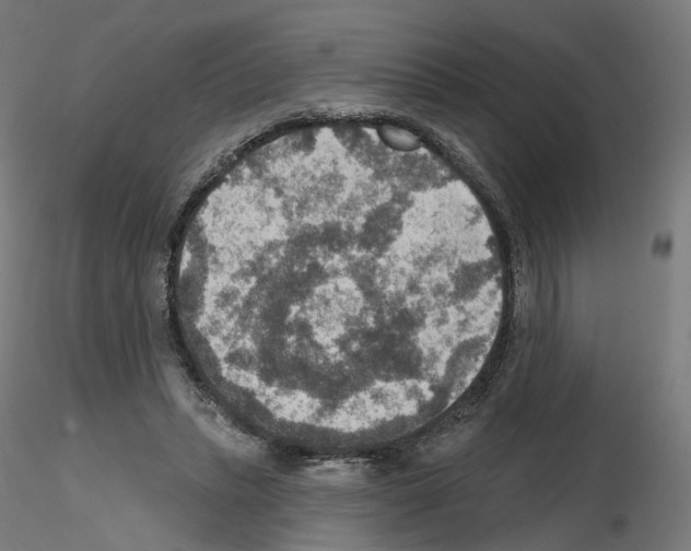 X0000115610447200912221210