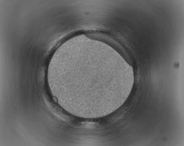X0000115610448200912221210