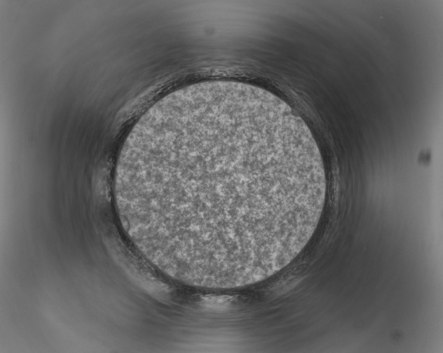 X0000115610450200912221210