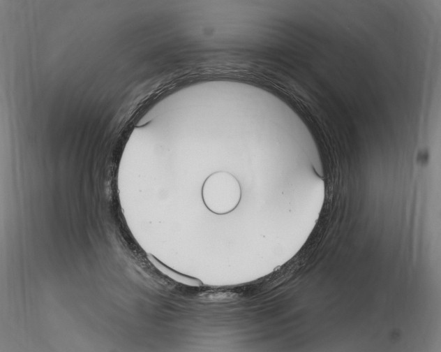 X0000115610452200912221210