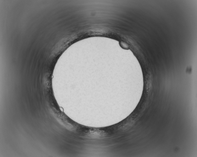 X0000115610455200912221211