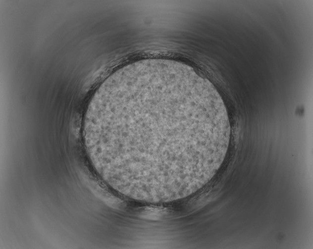 X0000115610458200912221211