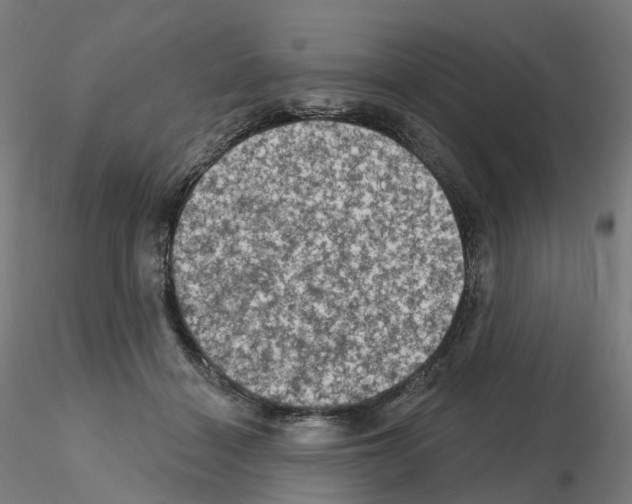 X0000115610460200912221211