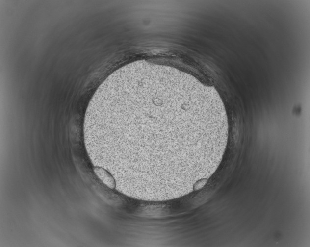 X0000115610461200912221211