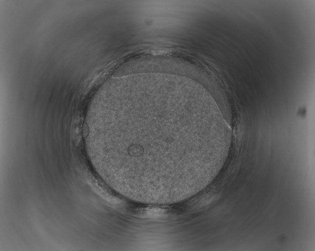 X0000115610462200912221211