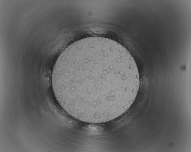 X0000115610464200912221211