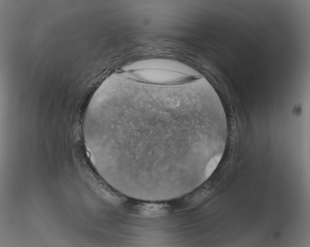 X0000115610465200912221211