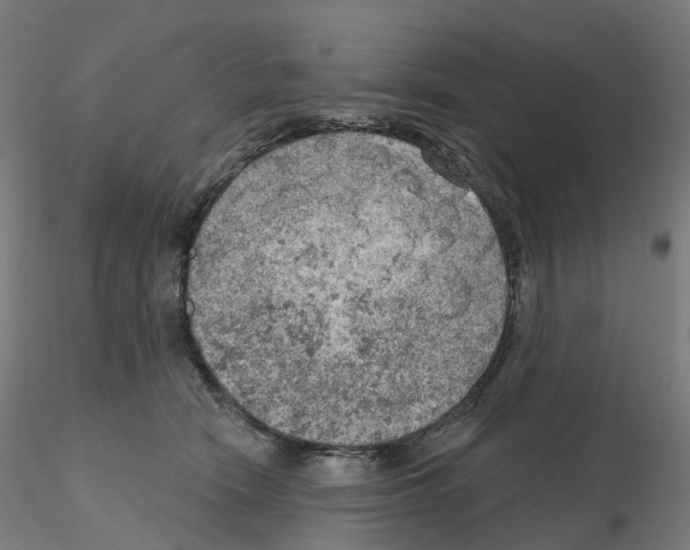 X0000115610466200912221211