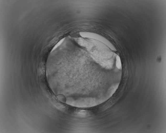 X0000115610467200912221211