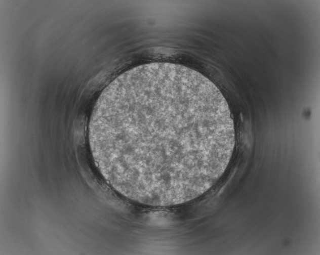 X0000115610468200912221211