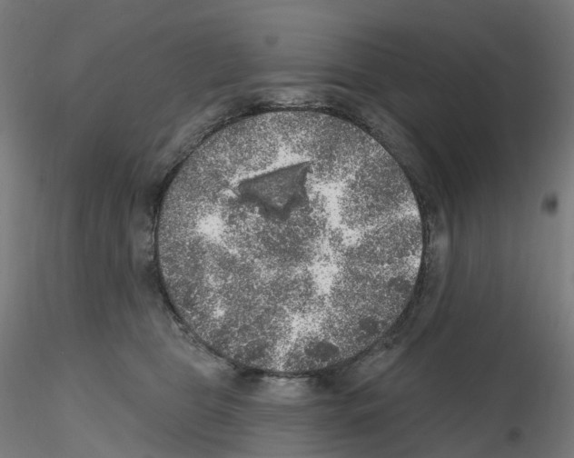 X0000115610469200912221211