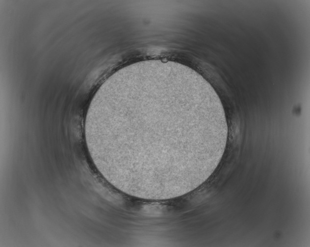 X0000115610470200912221211