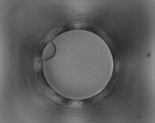 X0000115610471200912221211