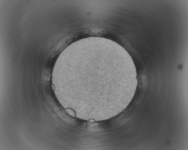 X0000115610472200912221211