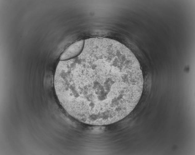 X0000115610474200912221211