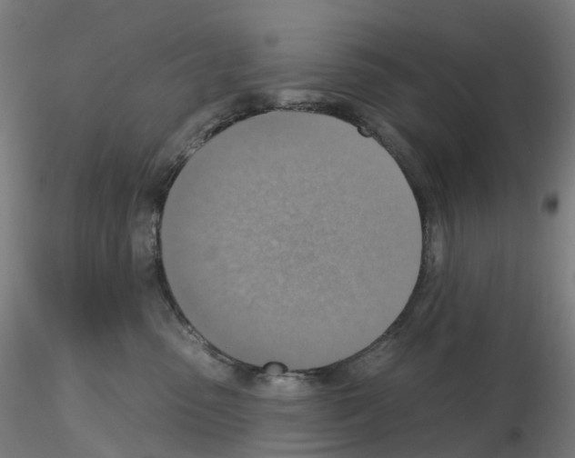 X0000115610475200912221211