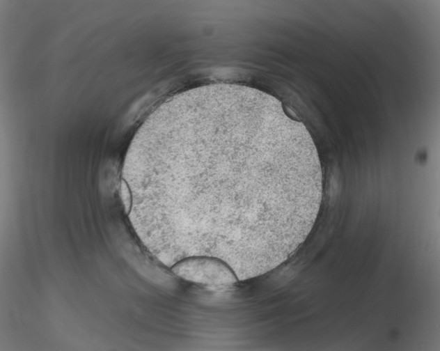 X0000115610478200912221211