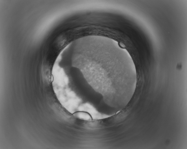X0000115610479200912221211