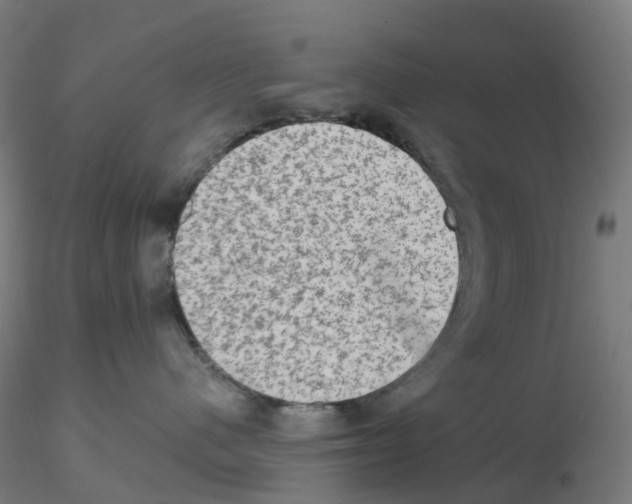 X0000115610480200912221211
