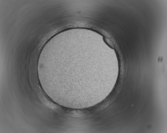 X0000115610481200912221210