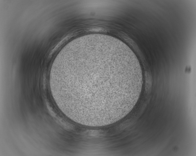 X0000115610482200912221210