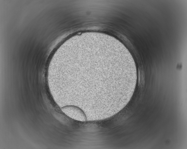 X0000115610483200912221210