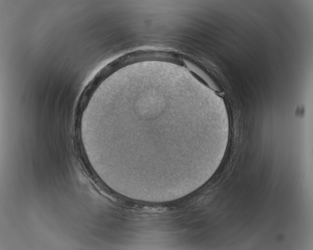 X0000115610484200912221210