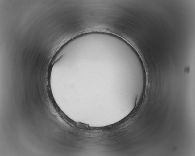 X0000115610485200912221210