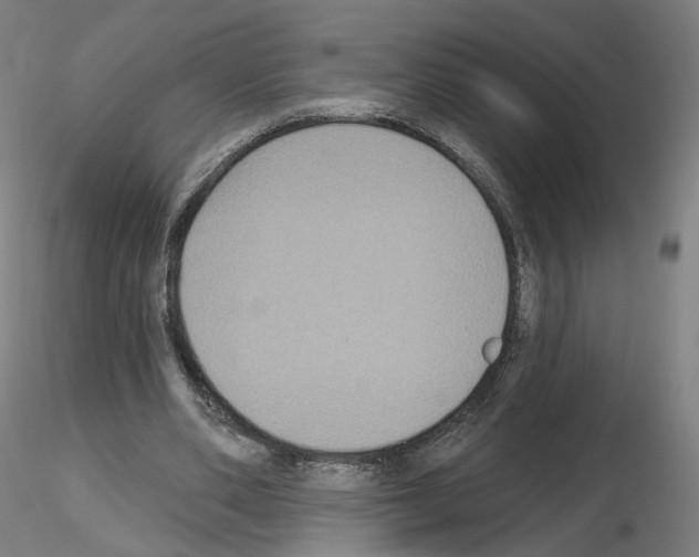 X0000115610486200912221210