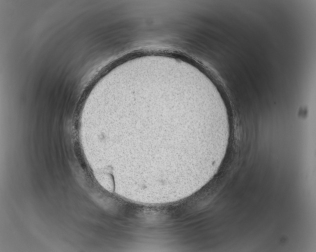 X0000115610487200912221210