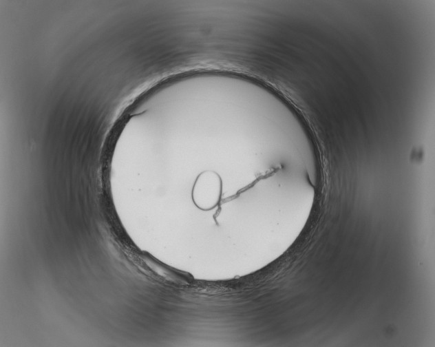 X0000115610488200912221210
