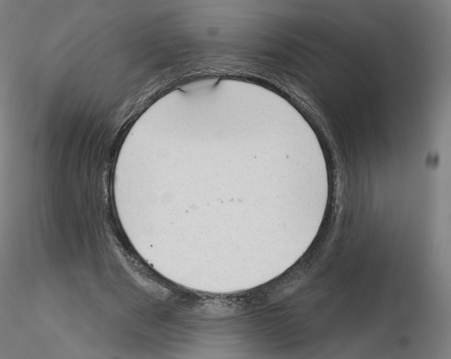 X0000115610489200912221210