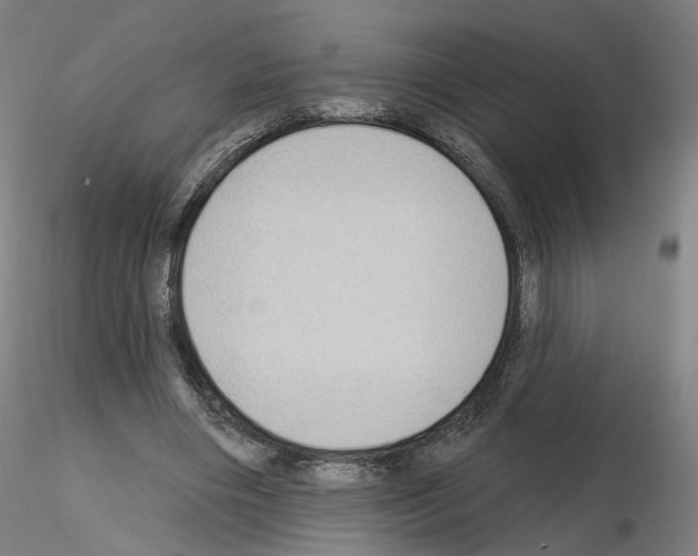 X0000115610490200912221210