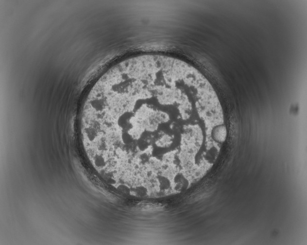 X0000115610491200912221210